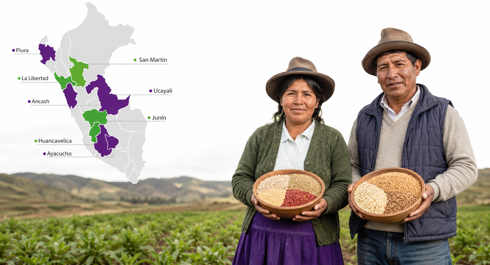 Agricultores Peruanos trabajando con Quinua Perú